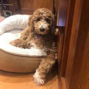 Meet your Posher, Joanna